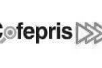 certificado_logo_5
